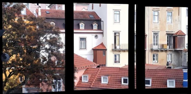 Carla D. Daire Coimbra Dış mekan fotoğraf